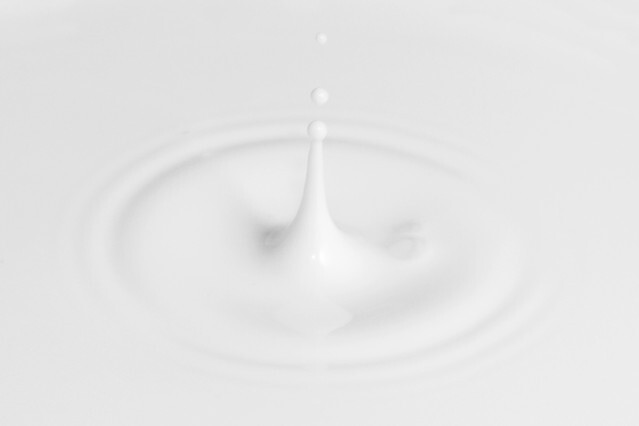 Milk splashes photo